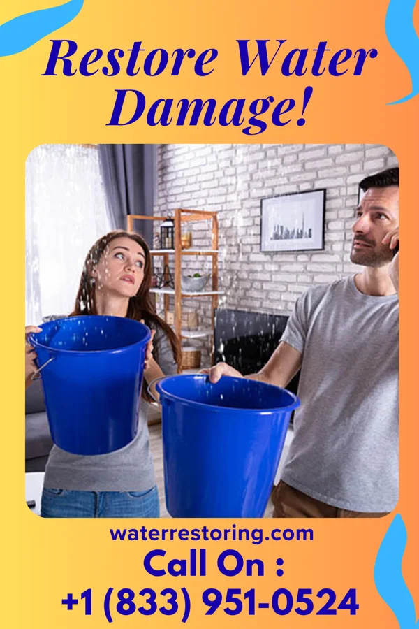 water restoration Rapid Damage Recovery Team Bulger